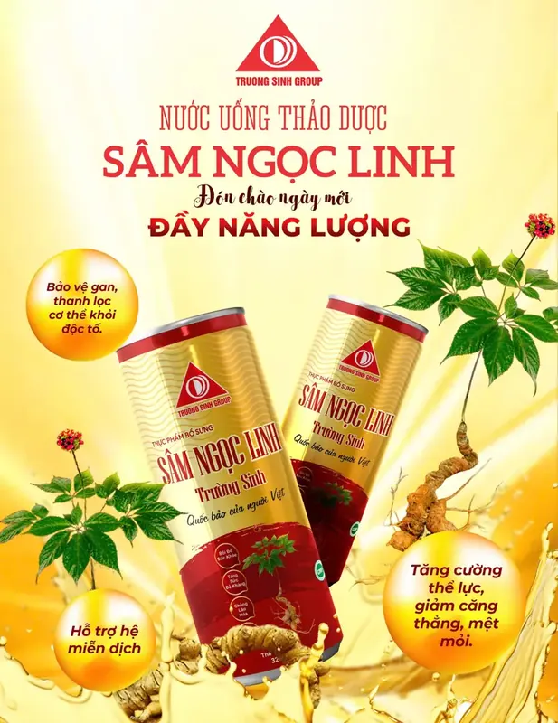 Dịch Chiết Xuất Sâm Ngọc Linh Hỗ Trợ Bồi Bổ Sức Khỏe (15 Gói/Hộp)