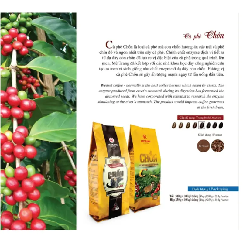 Cà Phê Chồn Rang Xay Mê Trang - Túi Bột 500g - ảnh 2
