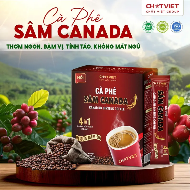 Cà Phê Sâm Canada Life Gift VN (Hộp 30 Gói)