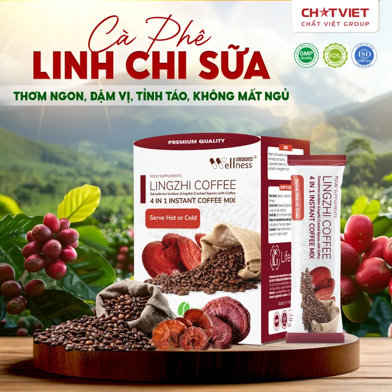 Cà Phê Bào Tử Linh Chi Phá Vách Lingzhi Coffee Life Gift VN (Hộp 20 Gói x 18g)