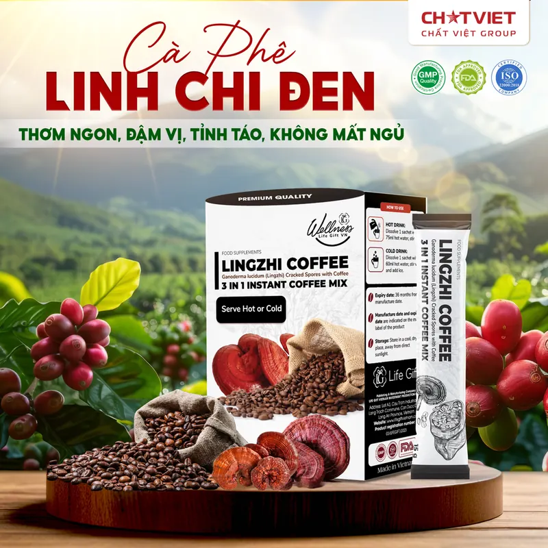 Cà Phê Bào Tử Linh Chi Phá Vách Lingzhi Coffee Đen Life Gift VN (Hộp 20 Gói x 15g)
